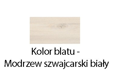 Główna galeria - Kontenerek Klea mobilny 36 biały błyszczący z ozdobnym blatem (9)