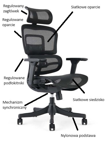 Główna galeria - Ergonomiczny fotel obrotowy ERGOMAN (5)