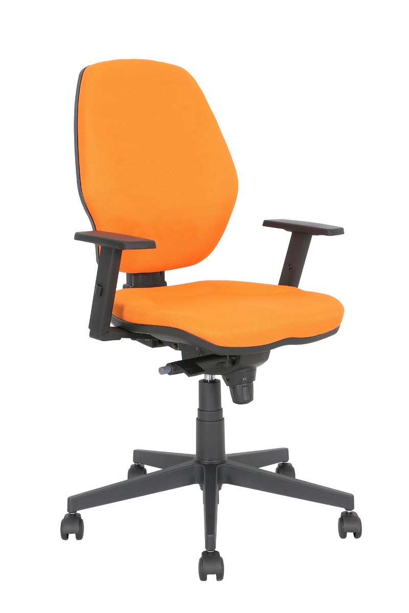 Główna galeria - Krzesło obrotowe MASTER 10 TS25 CPT (2)