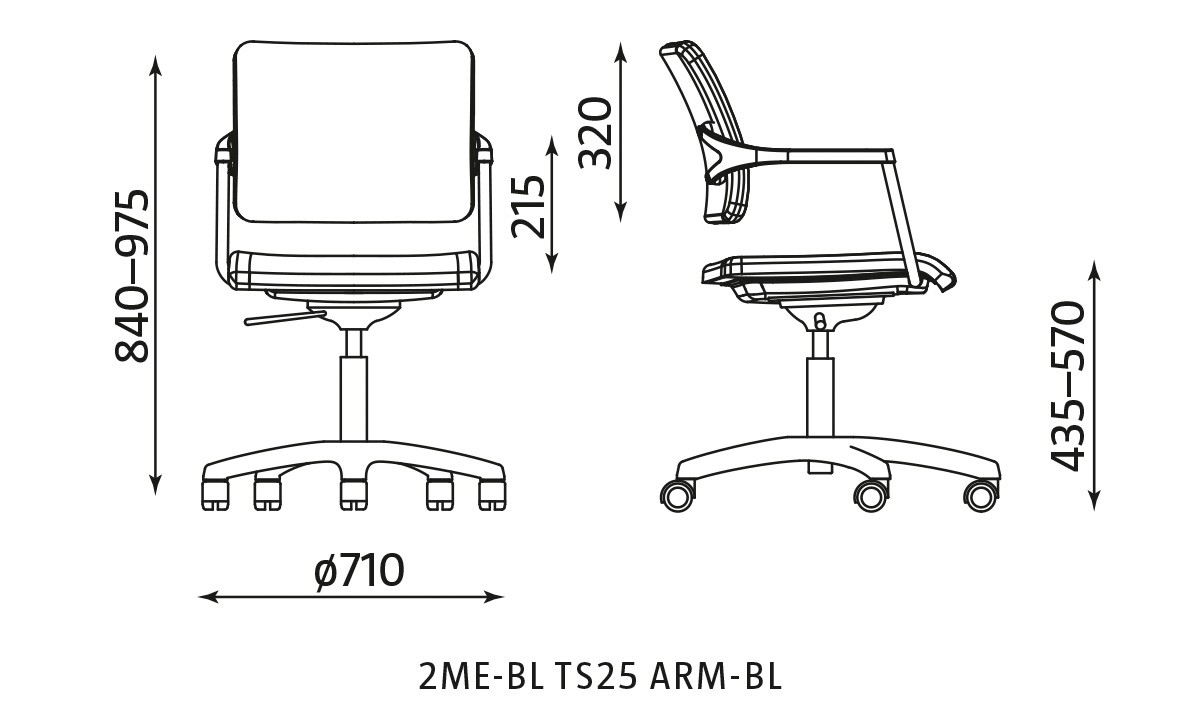 Główna galeria - 2ME-BL TS25 ARM-BL (2)