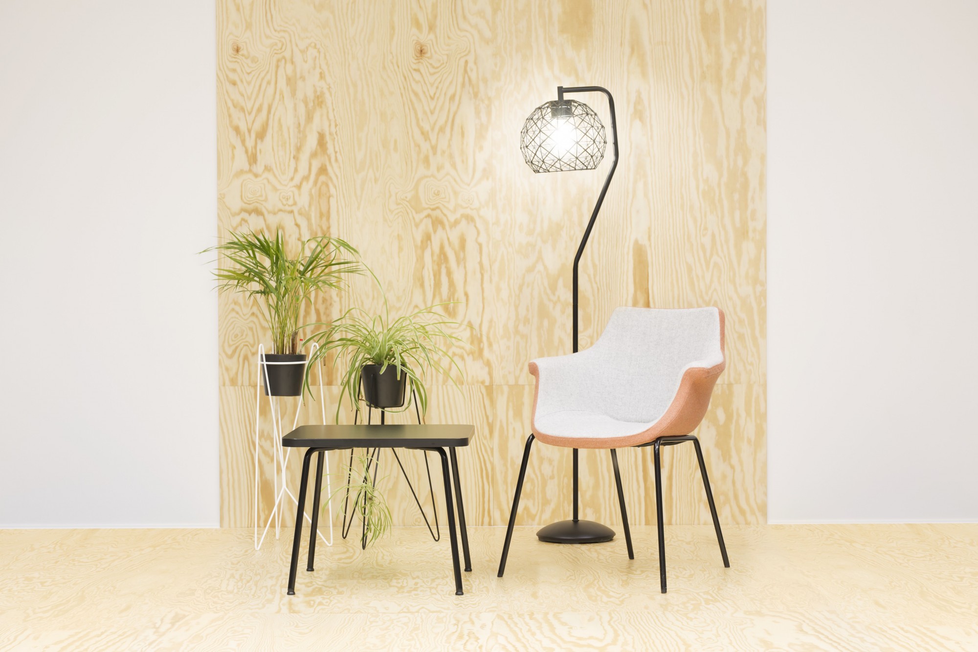 Główna galeria - KAIKA 4L (2)